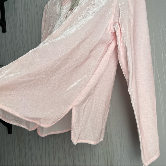 J Jill Womens Pink Velvet Long Sleeve Shirt Size Med Square Button Up Collared - Picture 7 of 10
